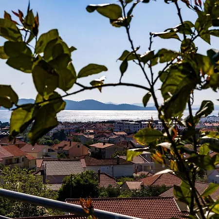 Grifone Zadar