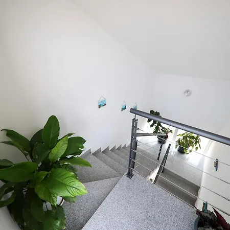 Apartamento Grifone Zadar