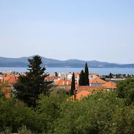 Grifone * Zadar